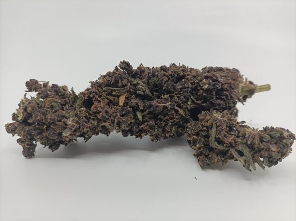 Fleur de CBD Purple Haze