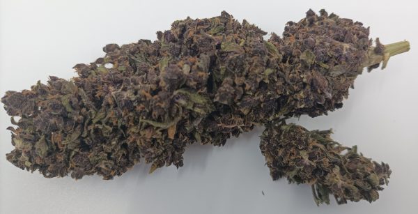 Purple Haze CBD