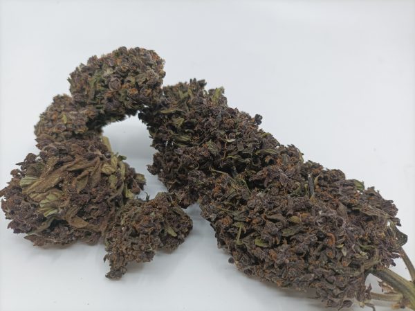 Purple Haze CBD