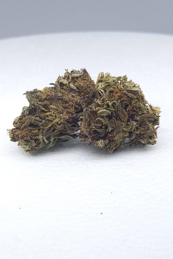 Fleurs de chanvre White Widow