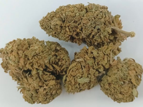 Fleurs de CBD séchées Bubble Gum